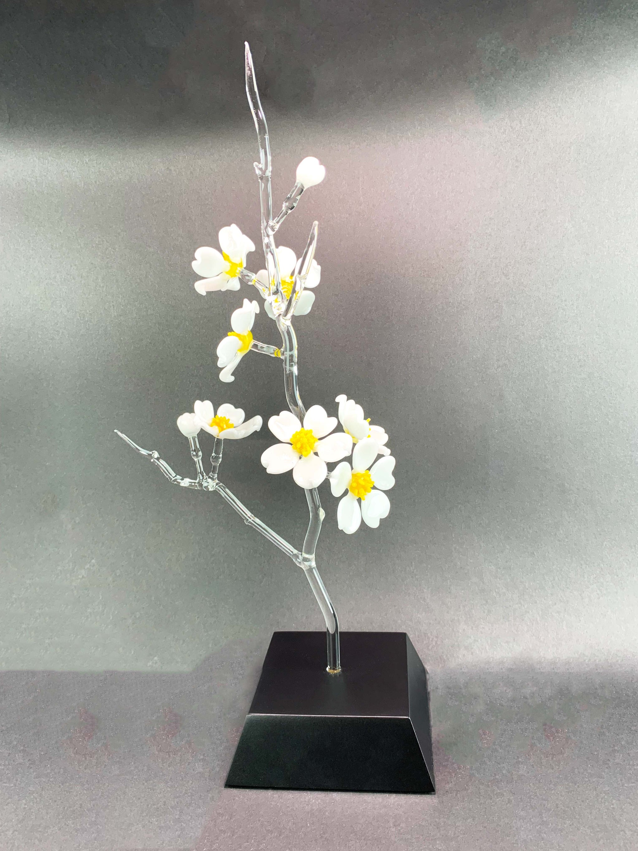 ■■送料無料■美品■BLOSSOM■FLERE SL RC■166cm■WAX■ Cherry Blossom – Frabel Glass