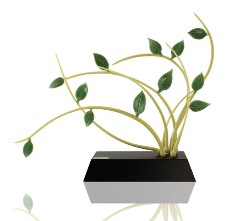 Sweeping Foliage